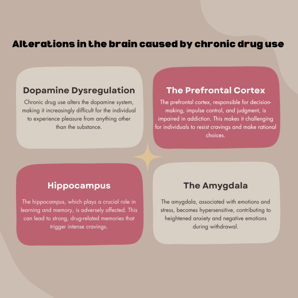 addiction brain disease 